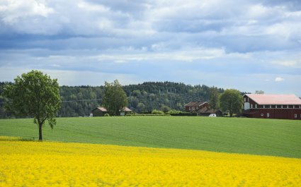 NATTUR-kulturlandskap-åker-landbruk