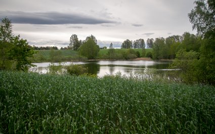 Raknehaugen, Ullensaker