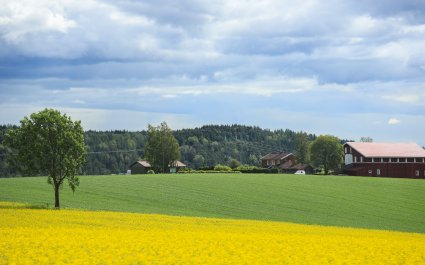 natur-kulturlandskap-åker-landbruk