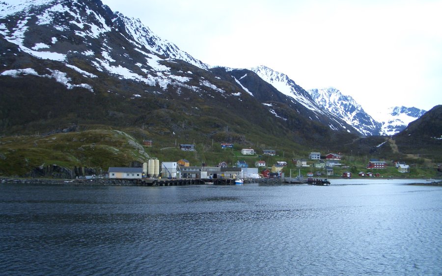 Bergsfjord_Loppa