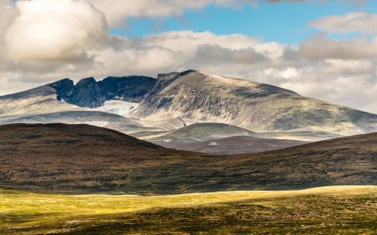 Dovrefjell