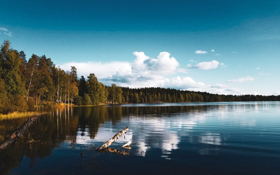 Sognsvann