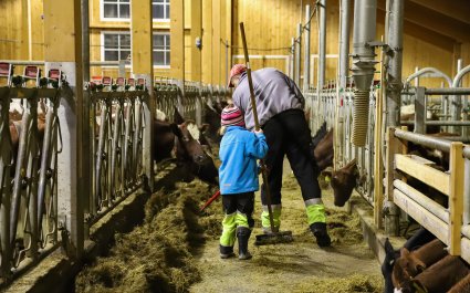 landbruk-ku-fjøs-familie-barn-49091110523_cd67a0378b_o