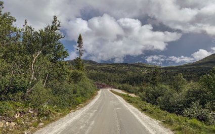 2020 Fjell-natur på Høgevarde i Buskerud