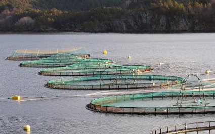 2019 - Fiskeoppdrettsanlegg i Sogn og Fjordane