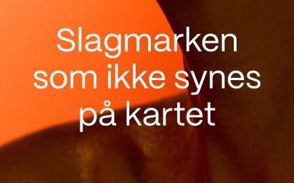 16 dagers slagmark